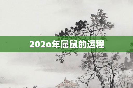 20 *** 属鼠的运程