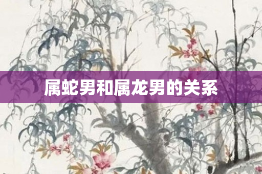 属蛇男和属龙男的关系