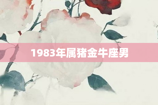 1983年属猪金牛座男
