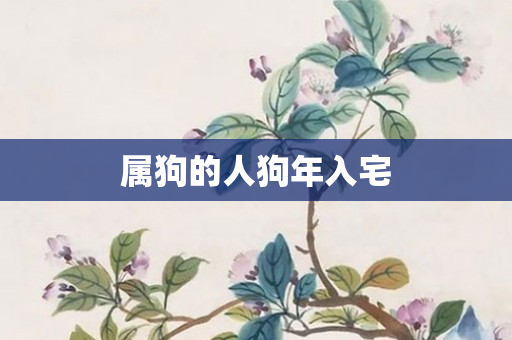 属狗的人狗年入宅