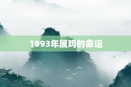 1993年属鸡的命运