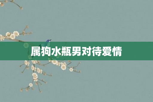 属狗水瓶男对待爱情