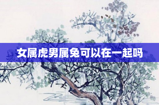 女属虎男属兔可以在一起吗