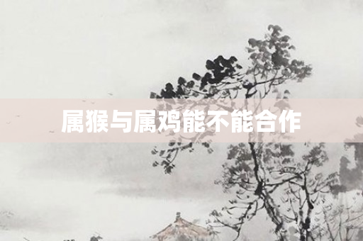 属猴与属鸡能不能合作