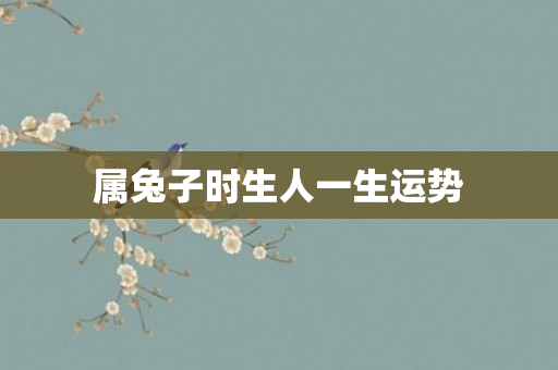 属兔子时生人一生运势