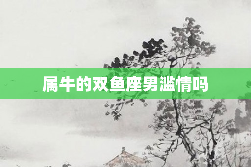 属牛的双鱼座男滥情吗