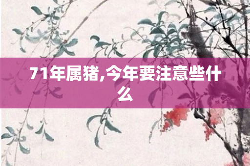 71年属猪,今年要注意些什么