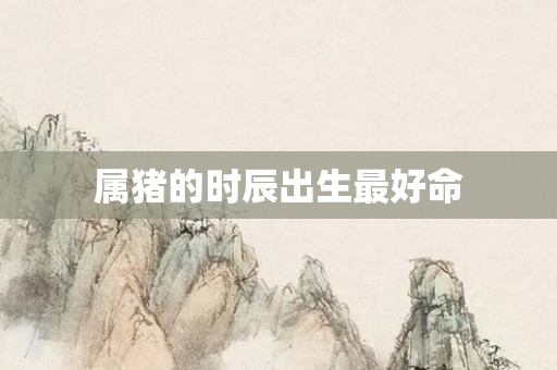 属猪的时辰出生更好命