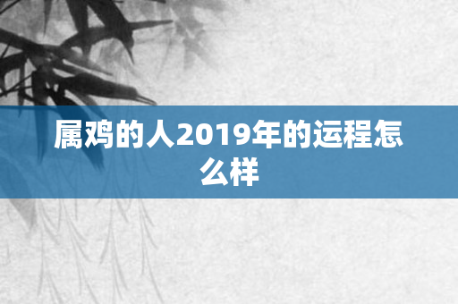 属鸡的人2019年的运程怎么样