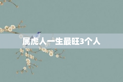 属虎人一生最旺3个人