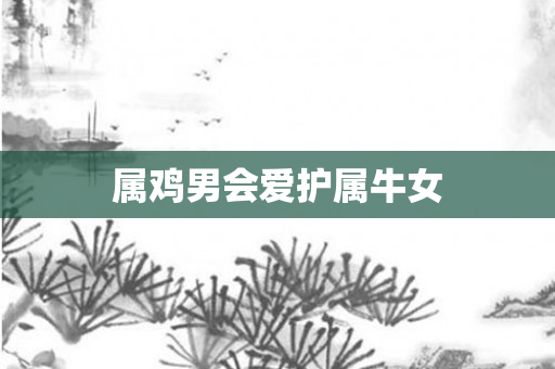 属鸡男会爱护属牛女
