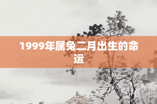 1999年属兔二月出生的命运