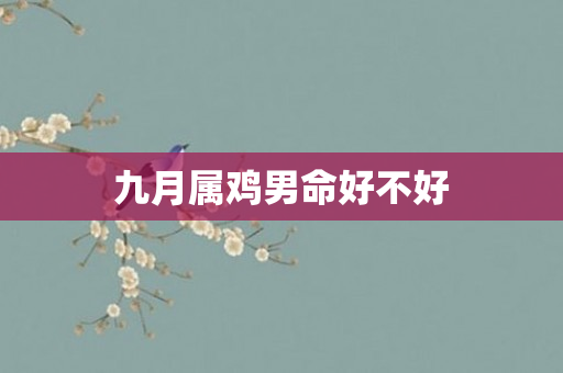 九月属鸡男命好不好