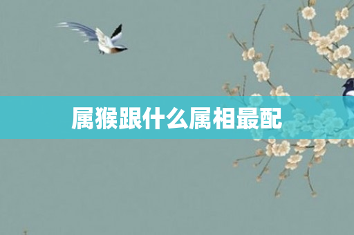 属猴跟什么属相最配