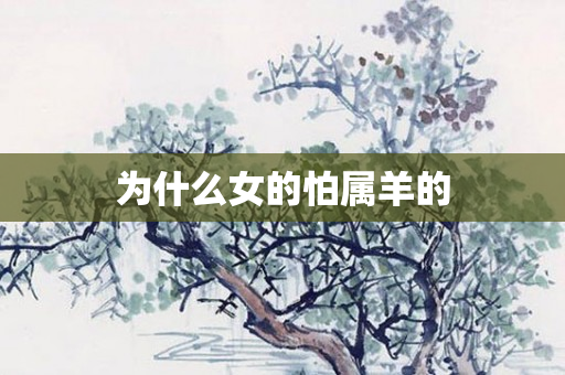 为什么女的怕属羊的