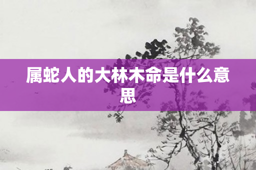 属蛇人的大林木命是什么意思