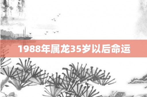 1988年属龙35岁以后命运