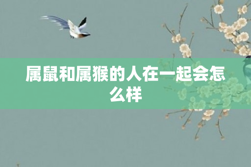 属鼠和属猴的人在一起会怎么样