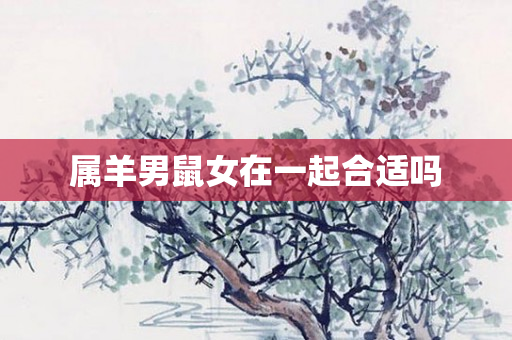 属羊男鼠女在一起合适吗
