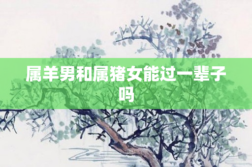 属羊男和属猪女能过一辈子吗