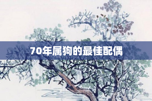 70年属狗的更佳配偶