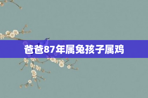 爸爸87年属兔孩子属鸡