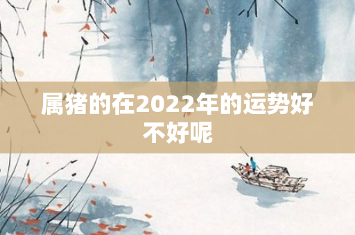属猪的在2022年的运势好不好呢
