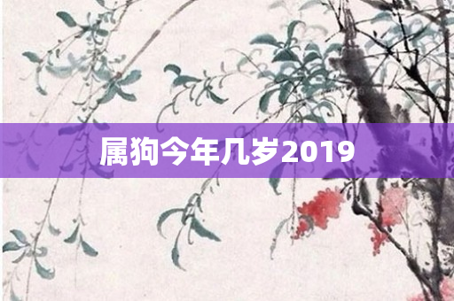 属狗今年几岁2019