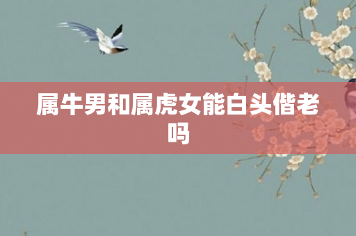 属牛男和属虎女能白头偕老吗