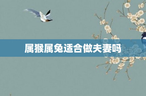 属猴属兔适合做夫妻吗