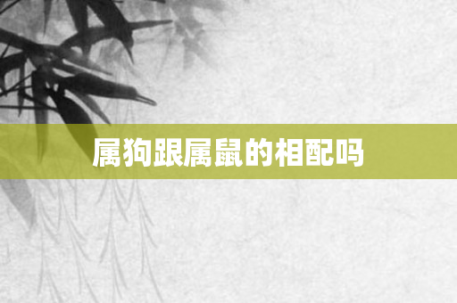 属狗跟属鼠的相配吗