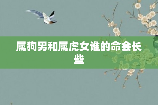 属狗男和属虎女谁的命会长些