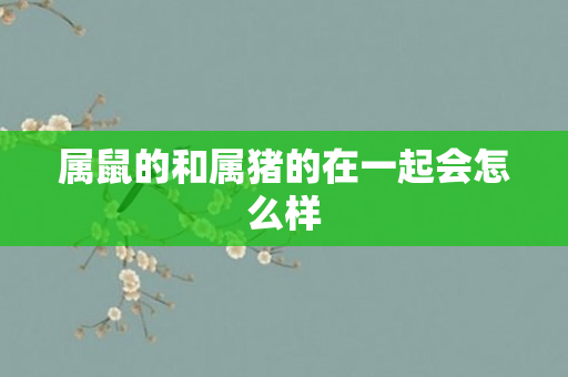 属鼠的和属猪的在一起会怎么样