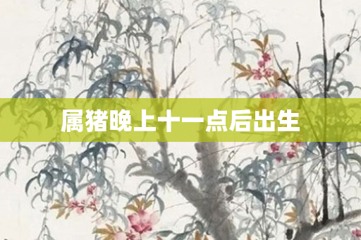 属猪晚上十一点后出生