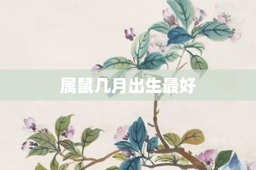 属鼠几月出生更好