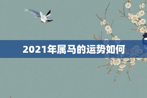 2021年属马的运势如何