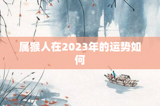属猴人在2023年的运势如何