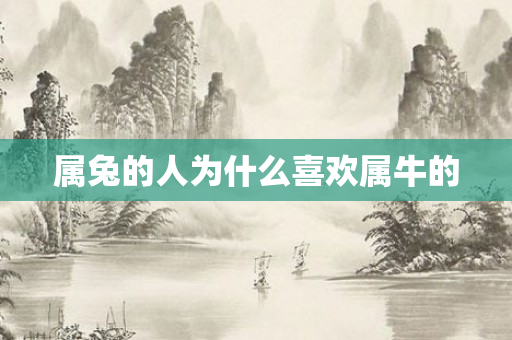属兔的人为什么喜欢属牛的