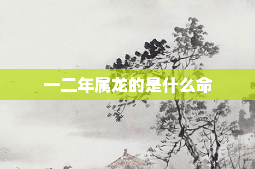 一二年属龙的是什么命