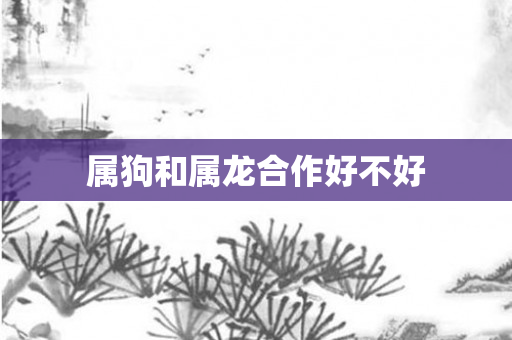 属狗和属龙合作好不好