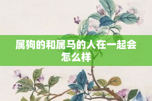 属狗的和属马的人在一起会怎么样