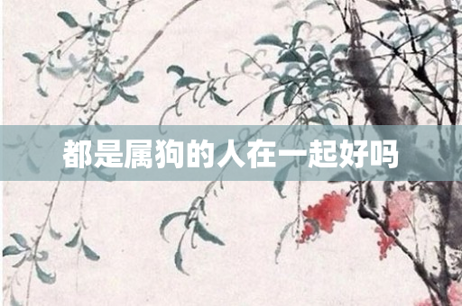 都是属狗的人在一起好吗