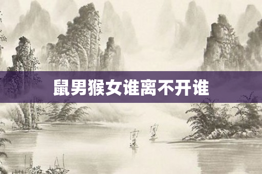 鼠男猴女谁离不开谁