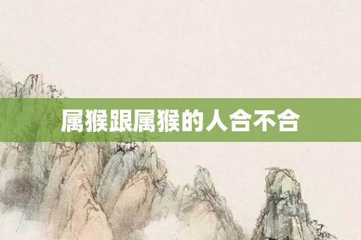 属猴跟属猴的人合不合