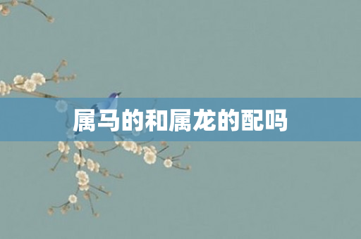 属马的和属龙的配吗