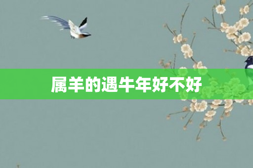 属羊的遇牛年好不好