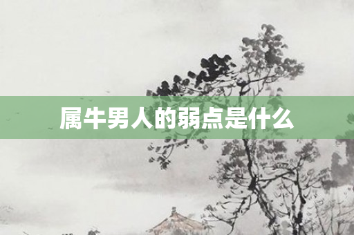 属牛男人的弱点是什么