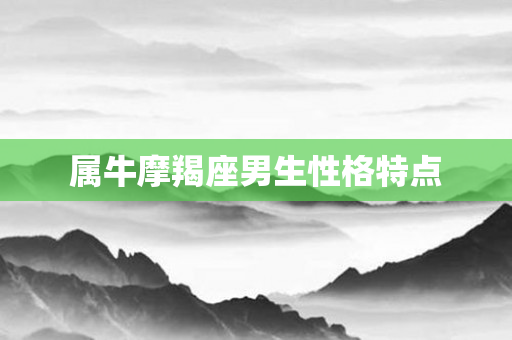属牛摩羯座男生性格特点