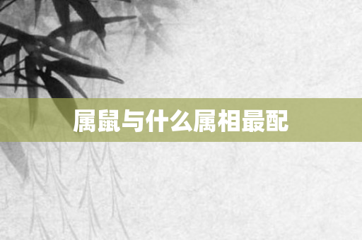 属鼠与什么属相最配