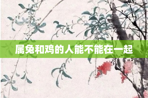 属兔和鸡的人能不能在一起